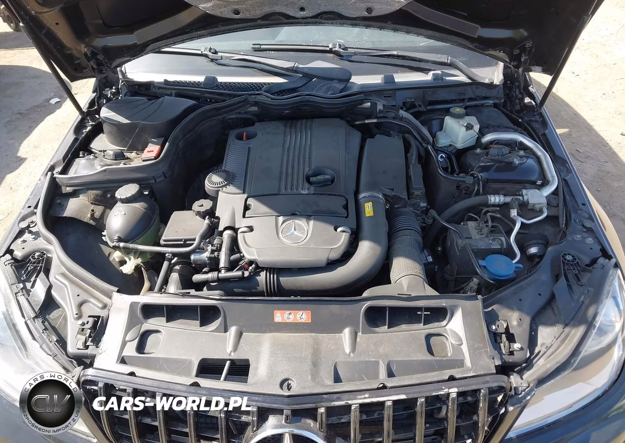 2012 Mercedes-Benz C 250 VIN:WDDGJ4HB6CF770848 - 10