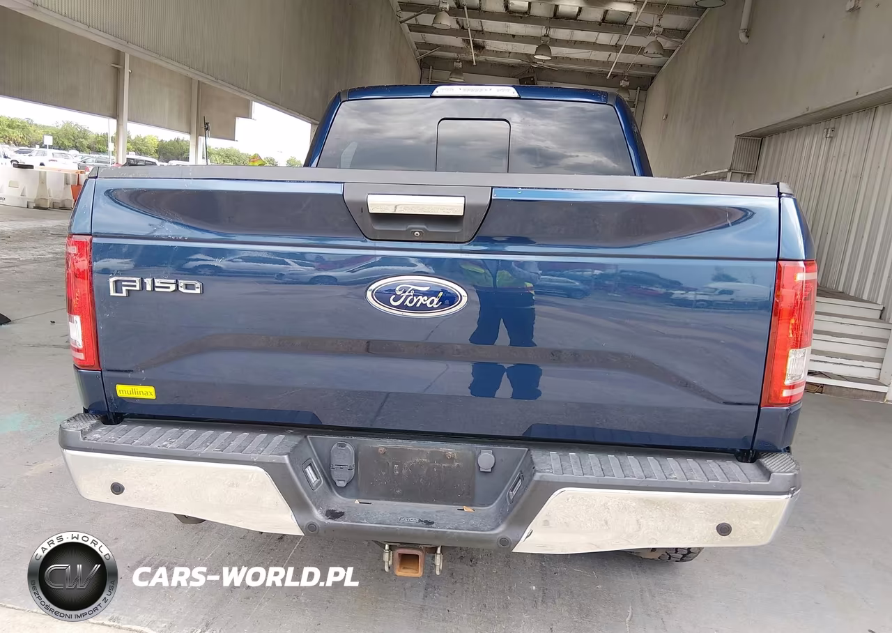 2017 Ford F-150 Xlt VIN:1FTEW1CP5HKC95180 - 17
