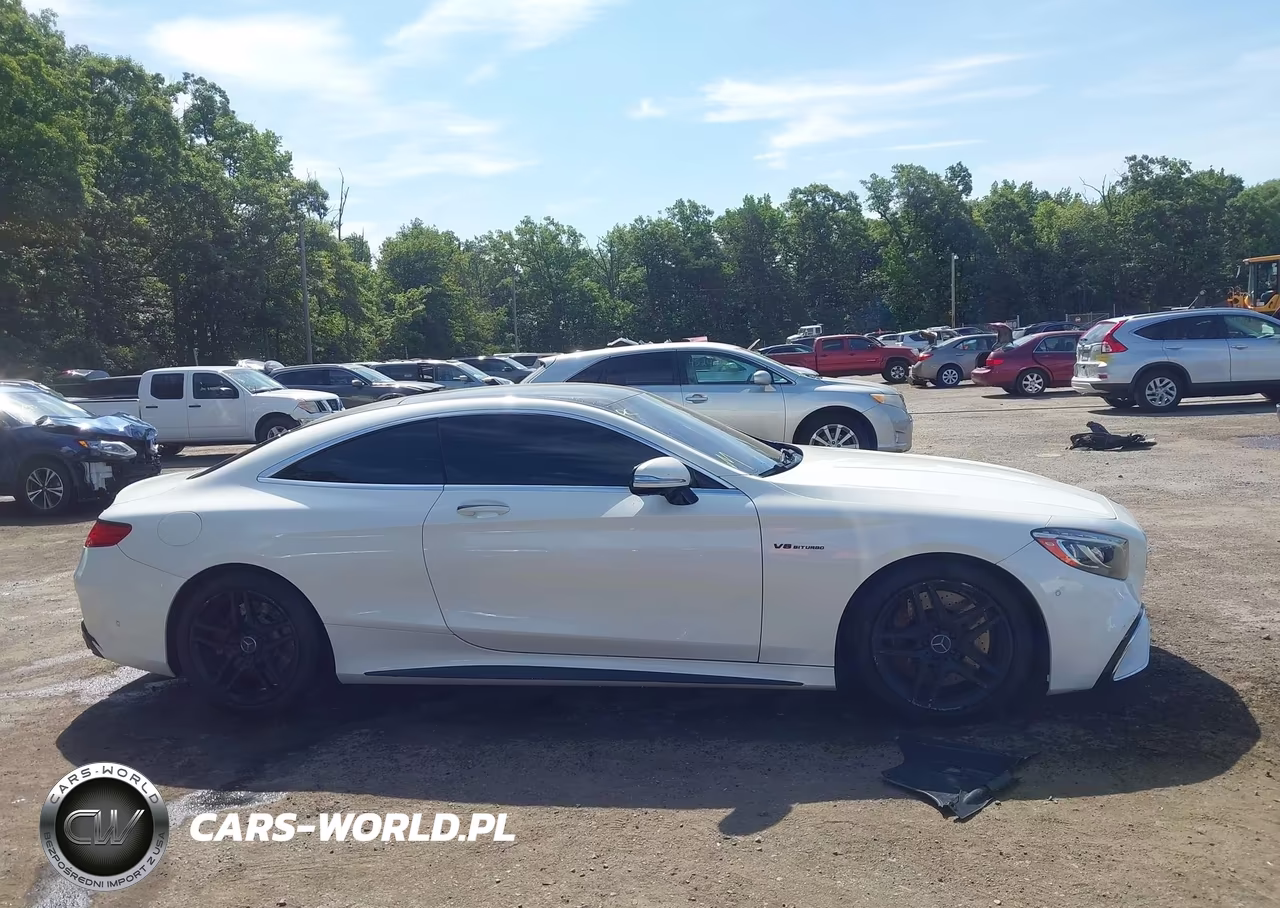 2015 Mercedes-Benz S63Amg VIN:WDDXJ7JB3FA005318 - 13