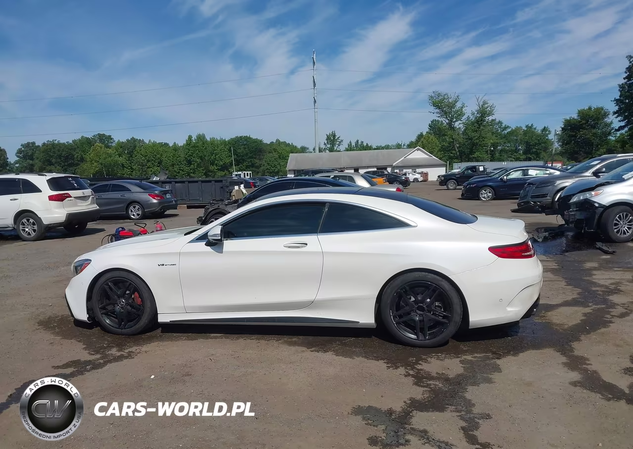 2015 Mercedes-Benz S63Amg VIN:WDDXJ7JB3FA005318 - 14