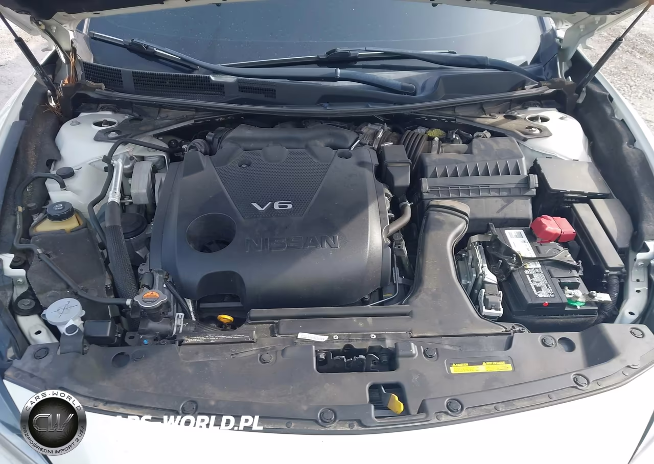 2019 Nissan Maxima 3.5 Sr VIN:1N4AA6AV2KC375698 - 10