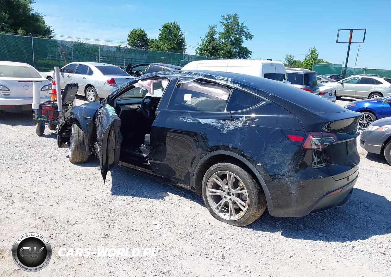 2024 Tesla Model Y Long Range Dual Motor All-Wheel Drive VIN:7SAYGDEE2RF983565 - 3