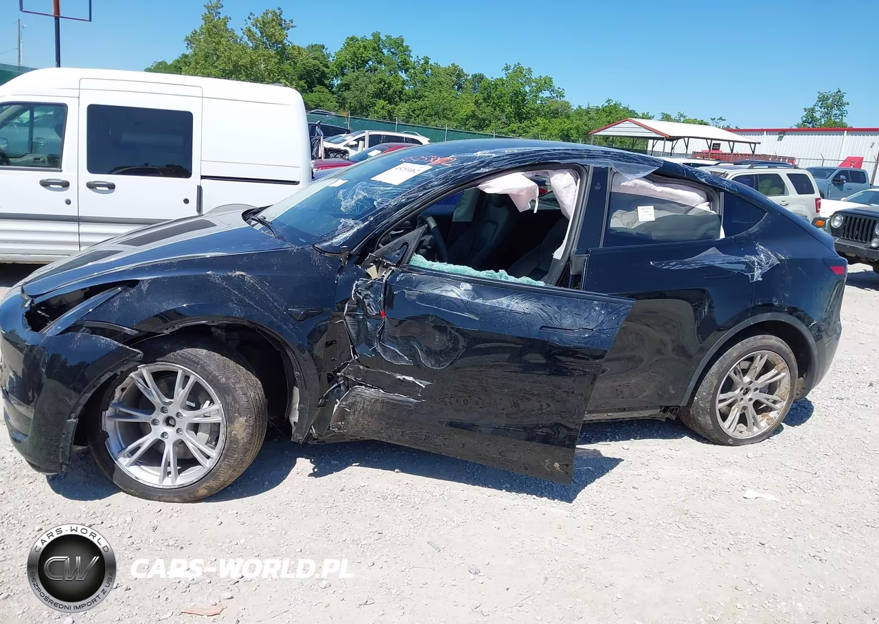 2024 Tesla Model Y Long Range Dual Motor All-Wheel Drive VIN:7SAYGDEE2RF983565 - 6