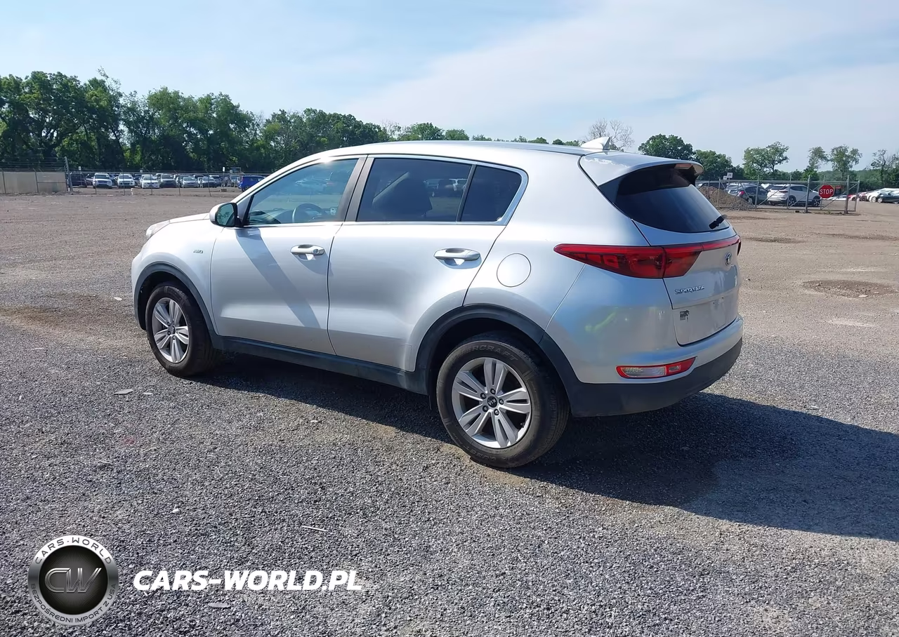 2019 Kia Sportage Lx VIN:KNDPMCAC3K7573630 - 3