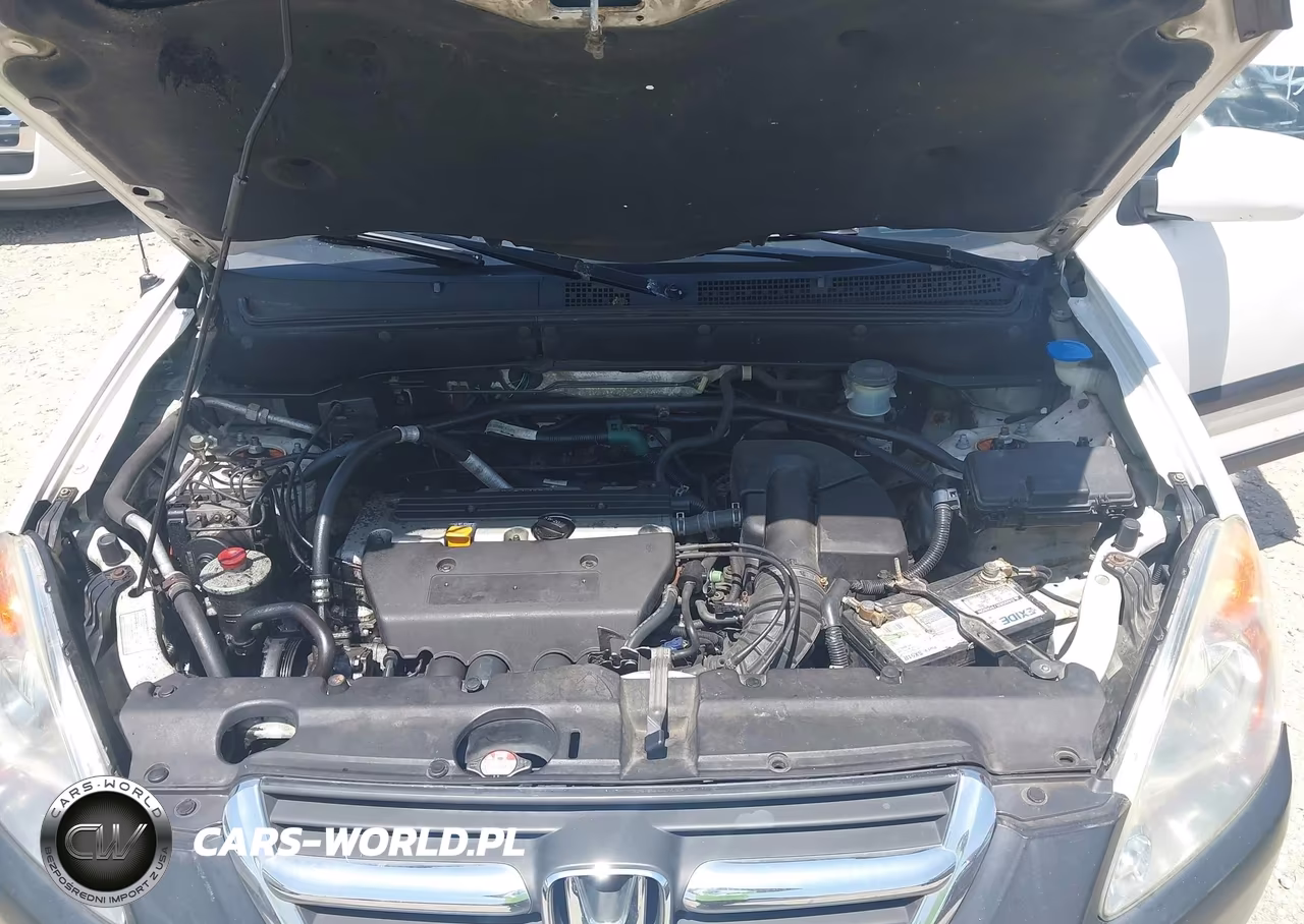 2004 Honda Cr-V Ex VIN:SHSRD78834U204144 - 10