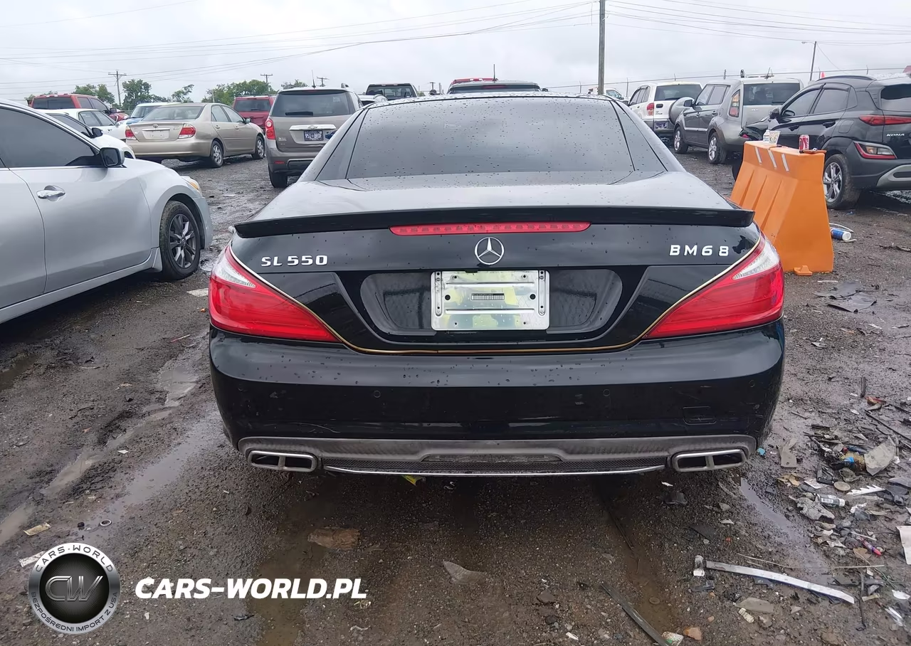 2013 Mercedes-Benz Sl 550 VIN:WDDJK7DA7DF012407 - 17