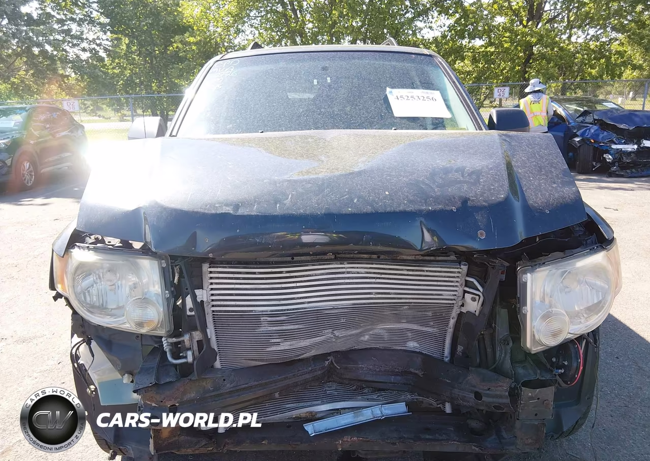 2008 Ford Escape Xlt VIN:1FMCU03Z88KC41277 - 6