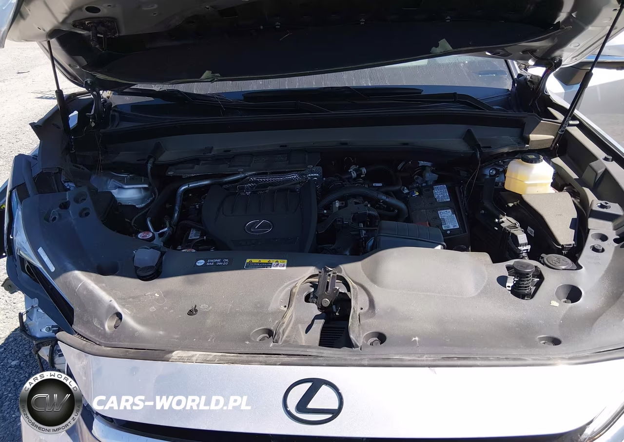 2025 Lexus Tx 350 Base-350 Premium-350 Luxury-350 F Sport VIN:5TDAAAB68SS045342 - 10