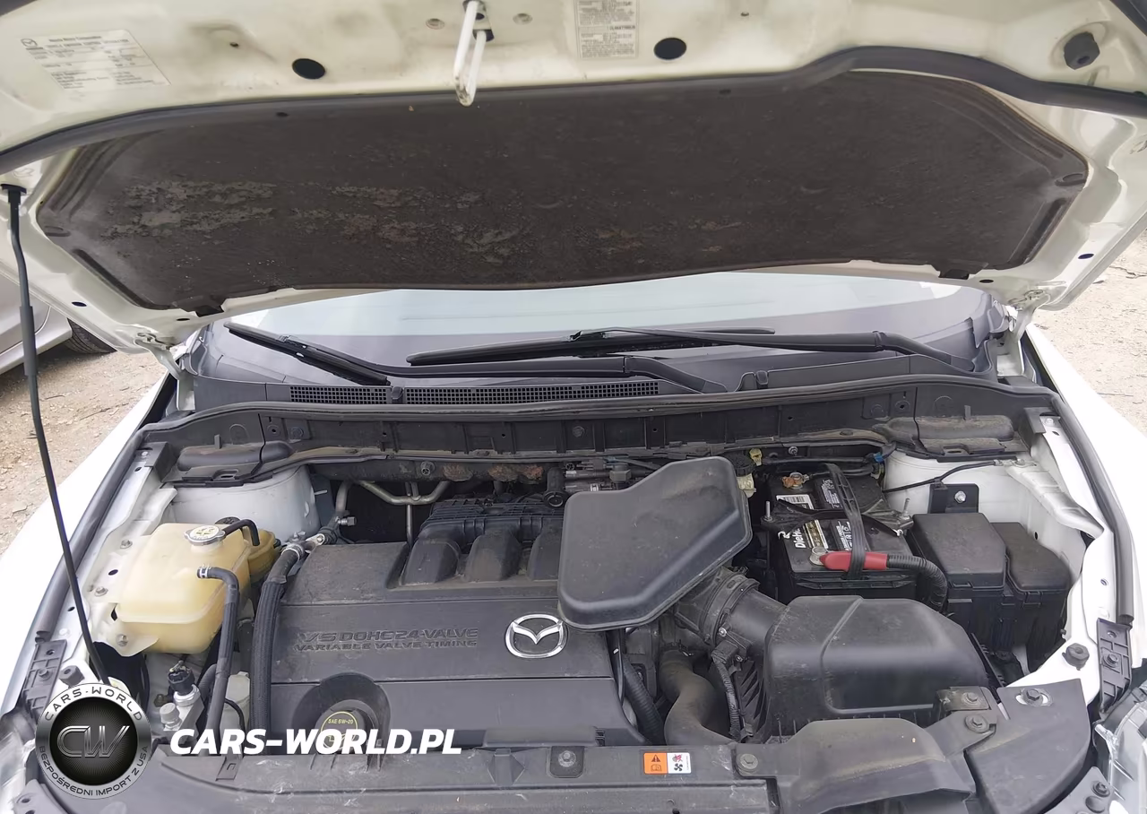 2013 Mazda Cx-9 Grand Touring VIN:JM3TB3DA6D0414831 - 10