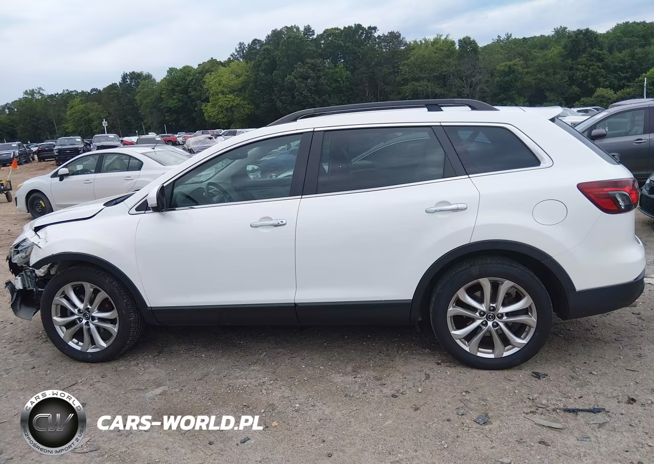 2013 Mazda Cx-9 Grand Touring VIN:JM3TB3DA6D0414831 - 14