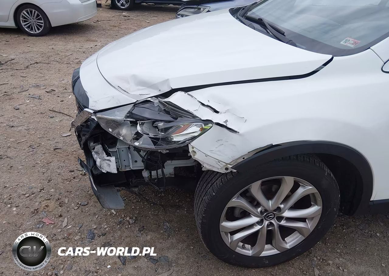 2013 Mazda Cx-9 Grand Touring VIN:JM3TB3DA6D0414831 - 17
