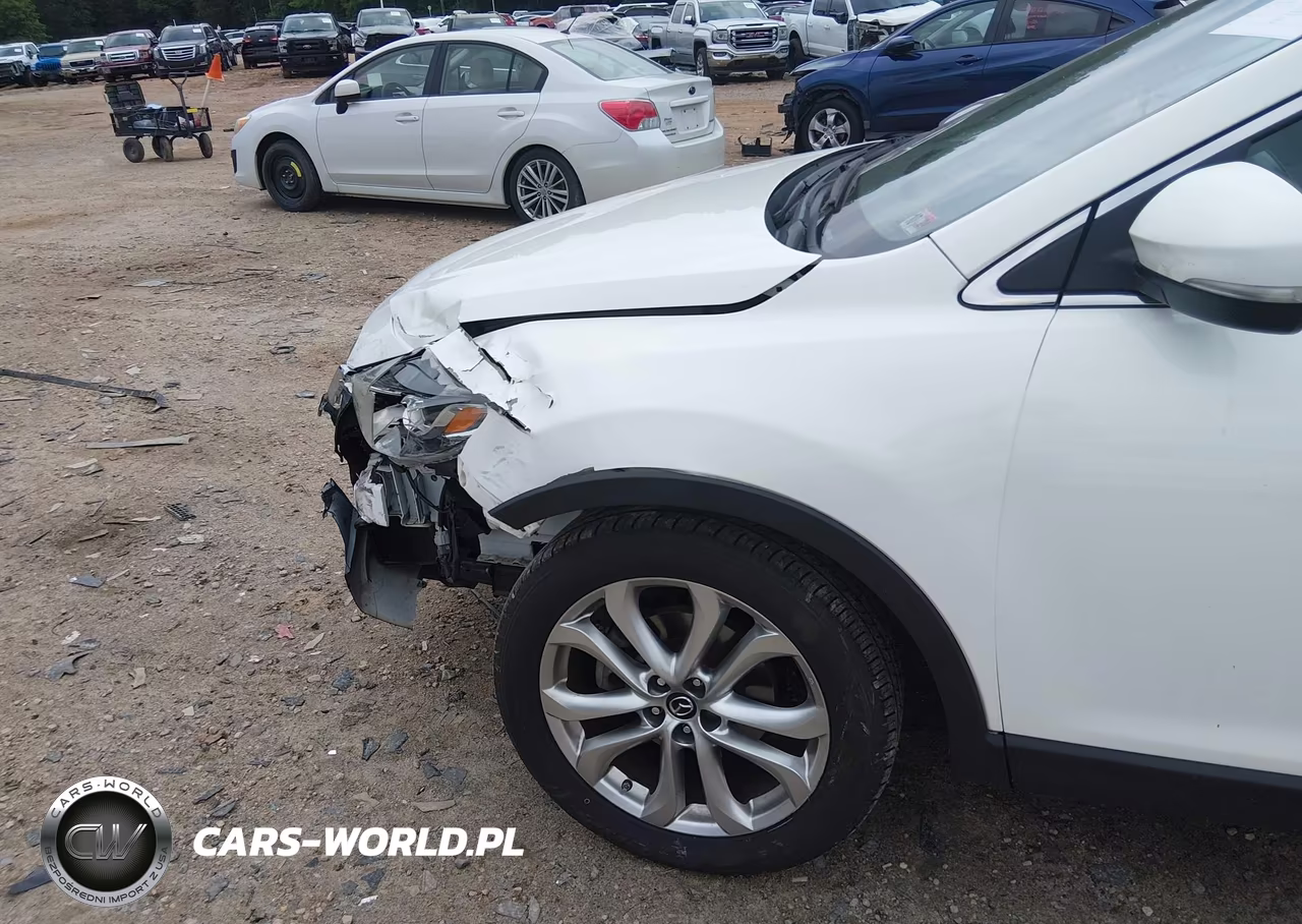 2013 Mazda Cx-9 Grand Touring VIN:JM3TB3DA6D0414831 - 18