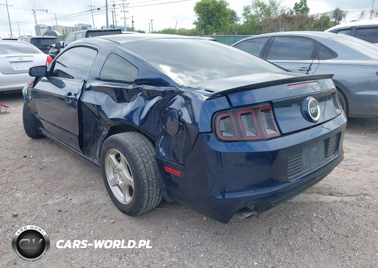 2013 Ford Mustang Gt VIN:1ZVBP8CF7D5260081 - 3