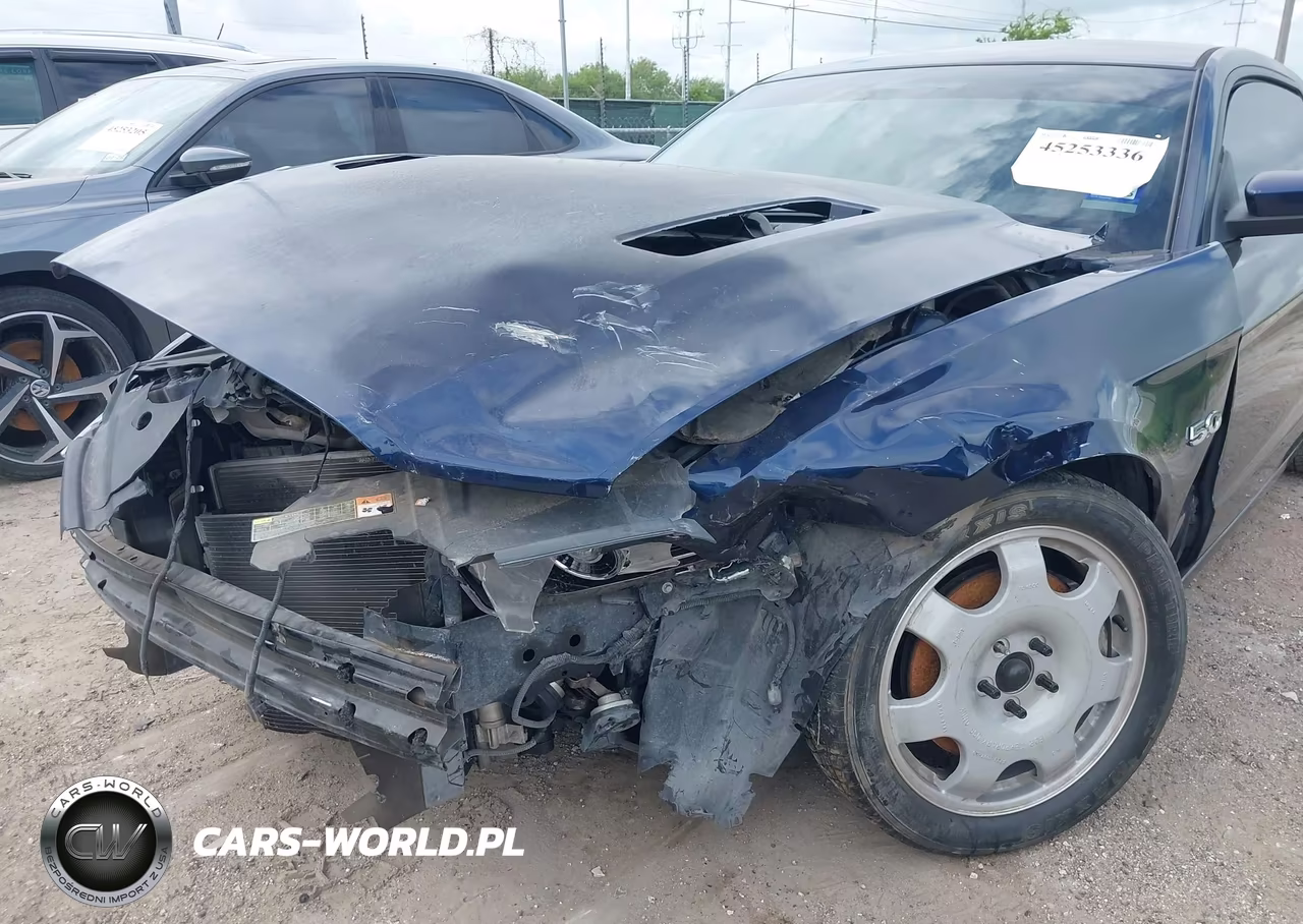 2013 Ford Mustang Gt VIN:1ZVBP8CF7D5260081 - 6