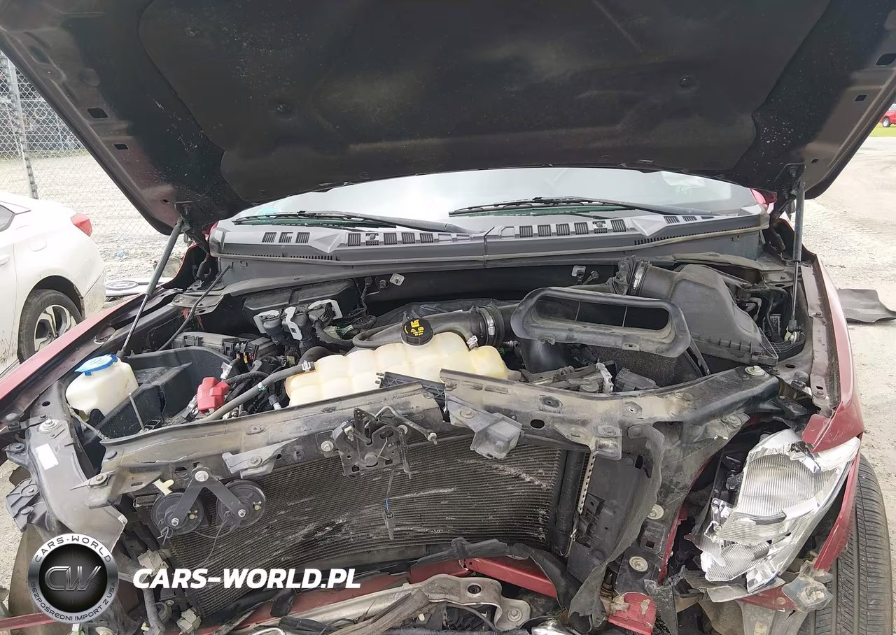 2019 Ford F-150 Xlt VIN:1FTEW1EP6KFA55990 - 10
