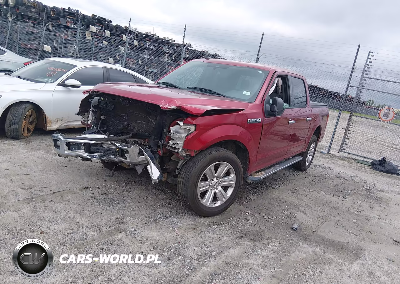 2019 Ford F-150 Xlt VIN:1FTEW1EP6KFA55990 - 2