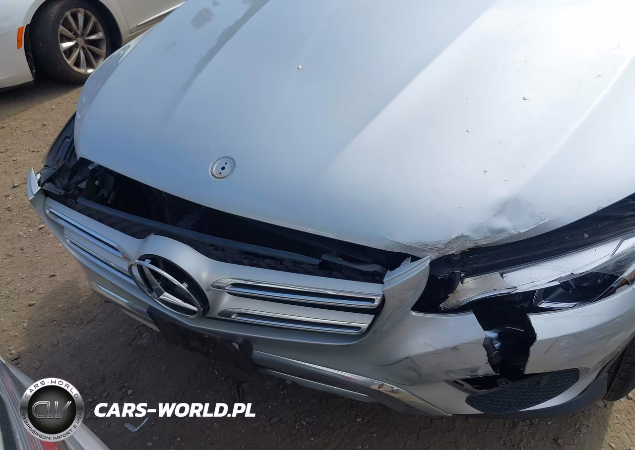2019 Mercedes-Benz Glc 350E 4Matic VIN:WDC0G5EB1KF593901 - 10