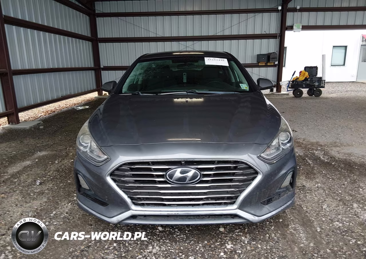 2019 Hyundai Sonata Se VIN:5NPE24AF3KH743610 - 11