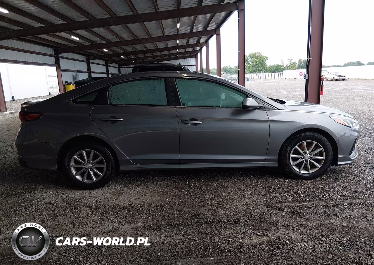 2019 Hyundai Sonata Se VIN:5NPE24AF3KH743610 - 12
