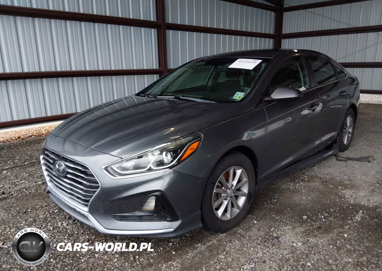 2019 Hyundai Sonata Se VIN:5NPE24AF3KH743610 - 2