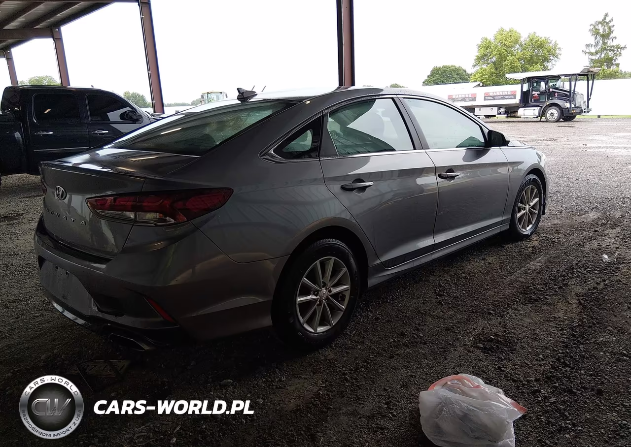 2019 Hyundai Sonata Se VIN:5NPE24AF3KH743610 - 4