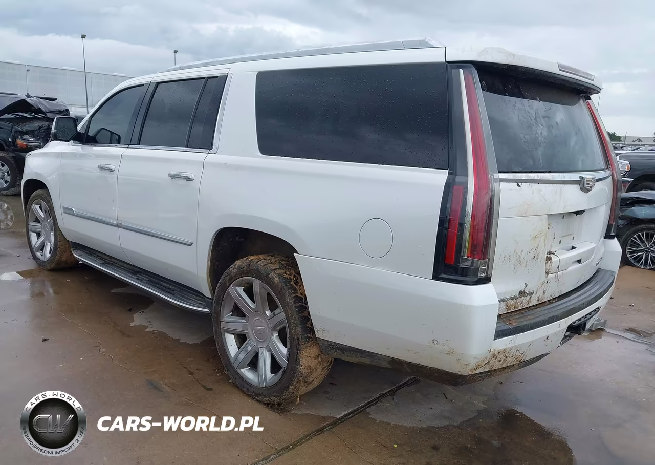 2019 Cadillac Escalade Esv Premium Luxury VIN:1GYS4JKJ8KR334410 - 3