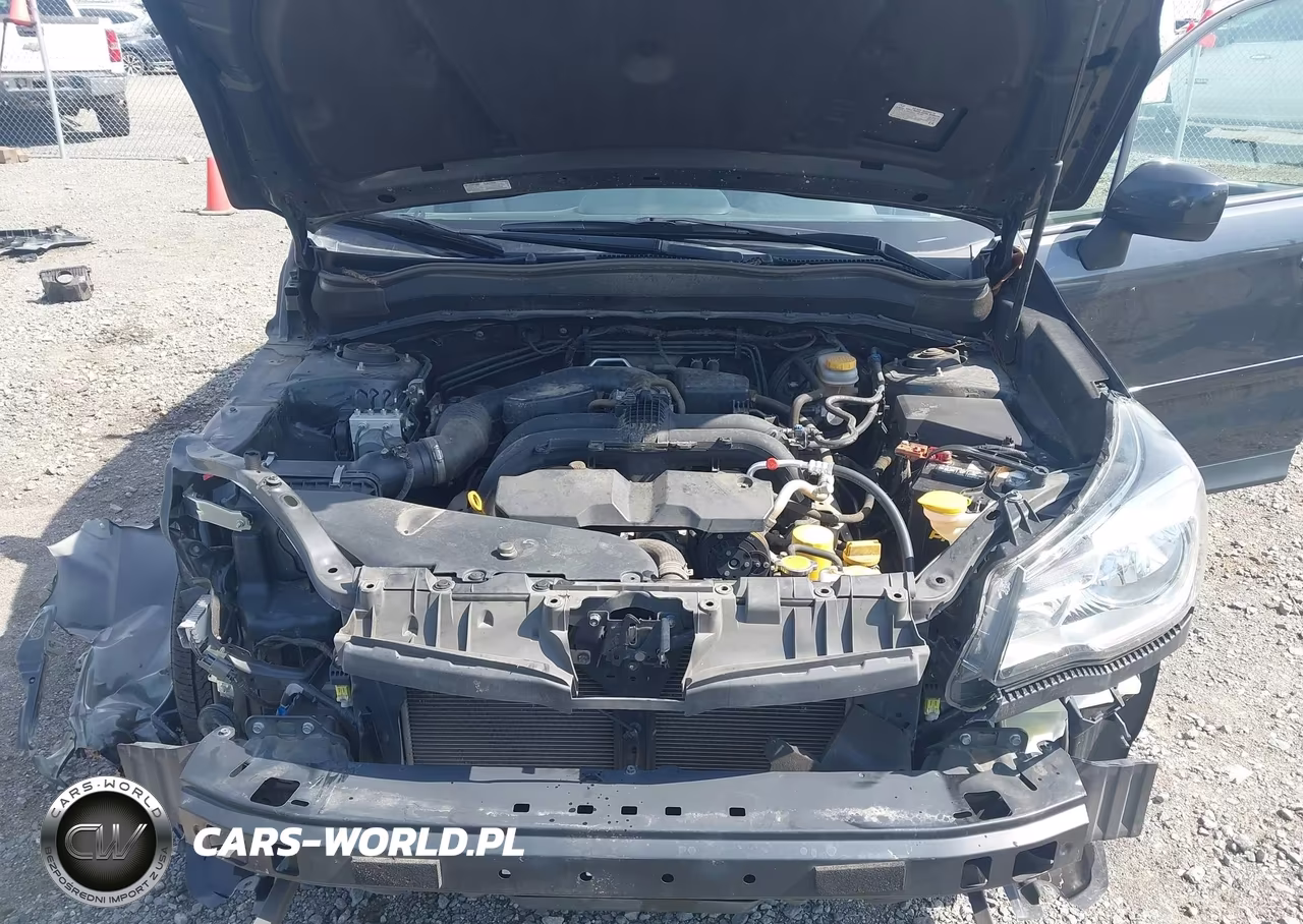 2017 Subaru Forester 2.5I Premium VIN:JF2SJAEC6HH477934 - 10