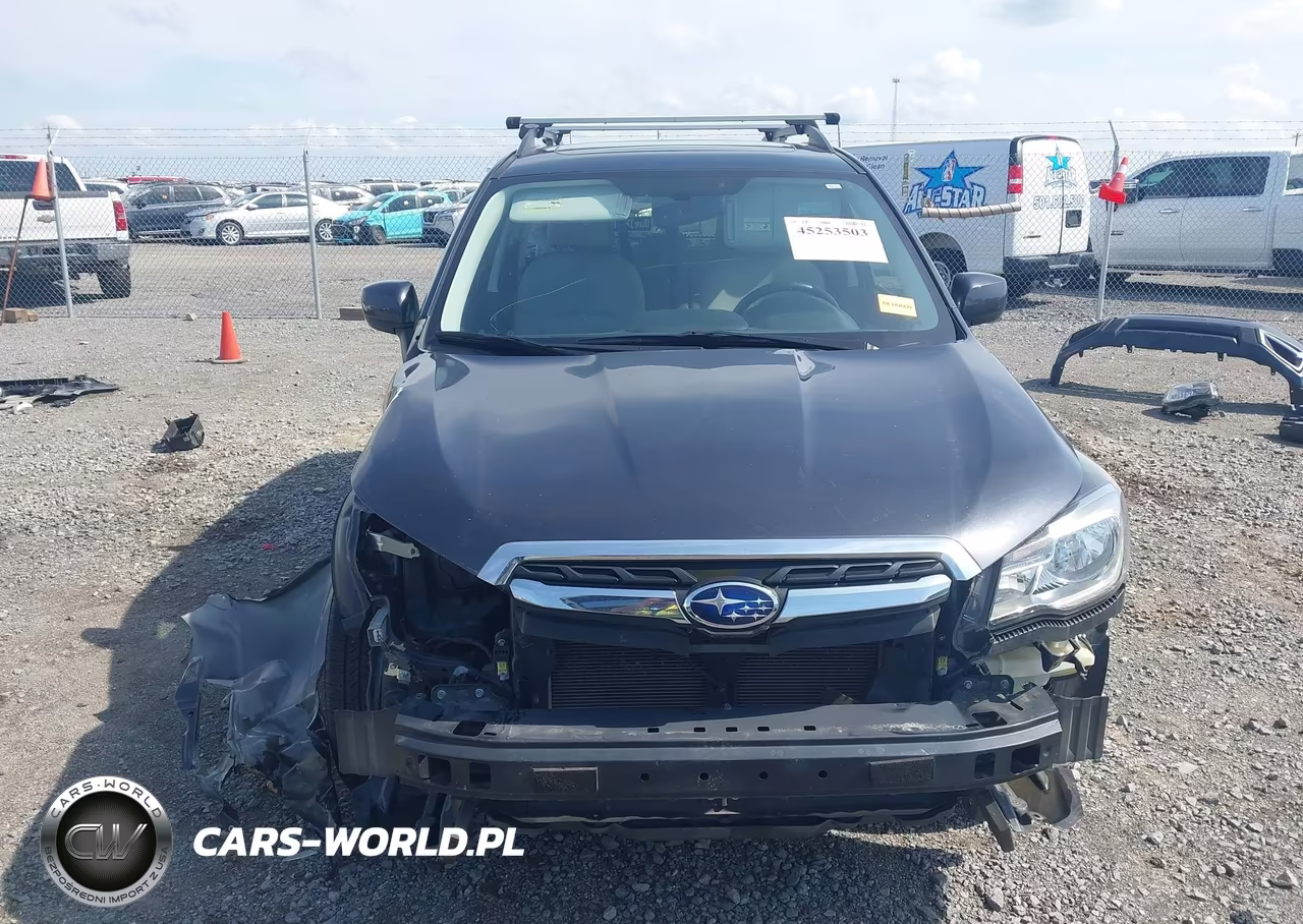 2017 Subaru Forester 2.5I Premium VIN:JF2SJAEC6HH477934 - 13