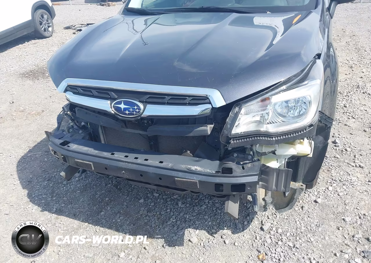 2017 Subaru Forester 2.5I Premium VIN:JF2SJAEC6HH477934 - 6