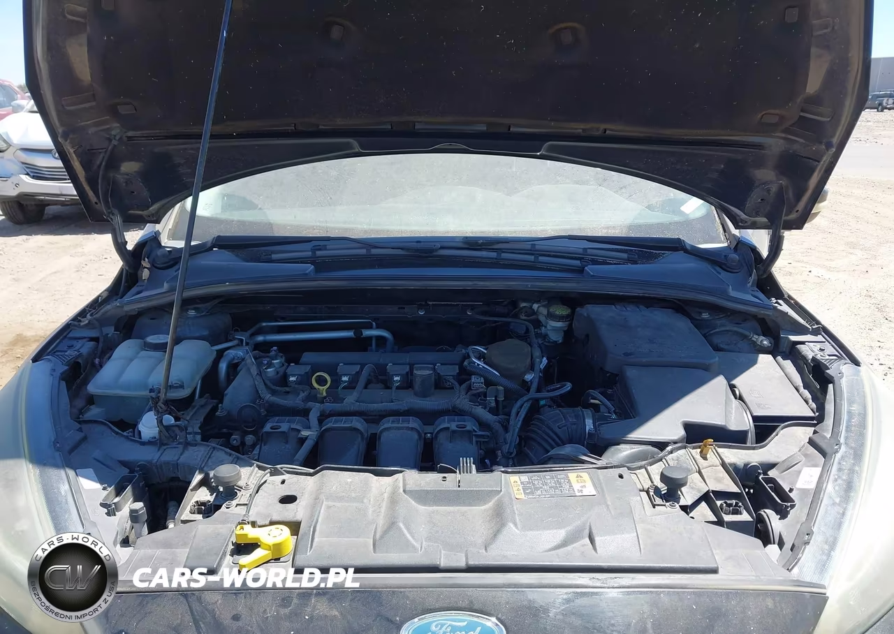 FORD FOCUS SE VIN:1FADP3K22FL314789 - 10