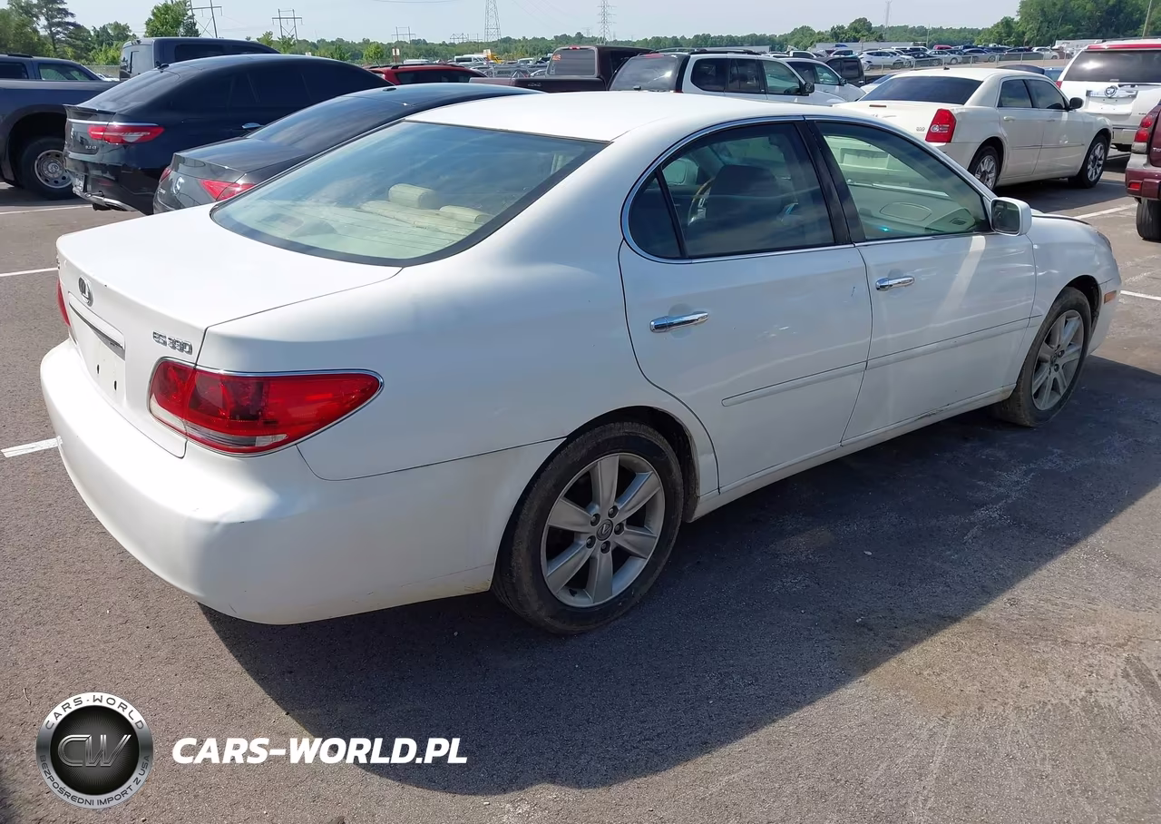 2006 Lexus Es 330 VIN:JTHBA30G265153266 - 4