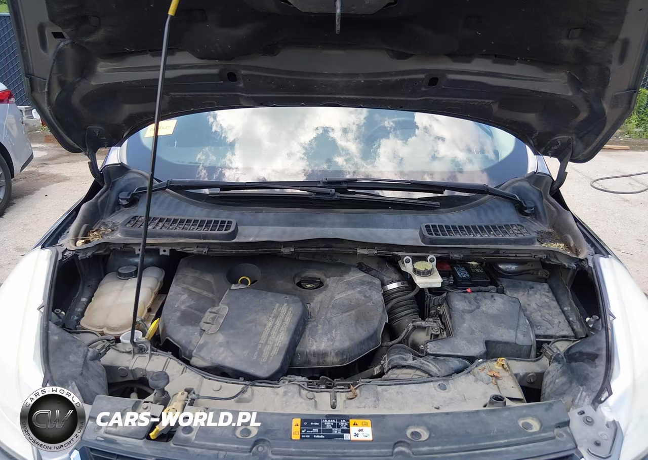 2013 Ford Escape Sel VIN:1FMCU0H92DUC47390 - 10