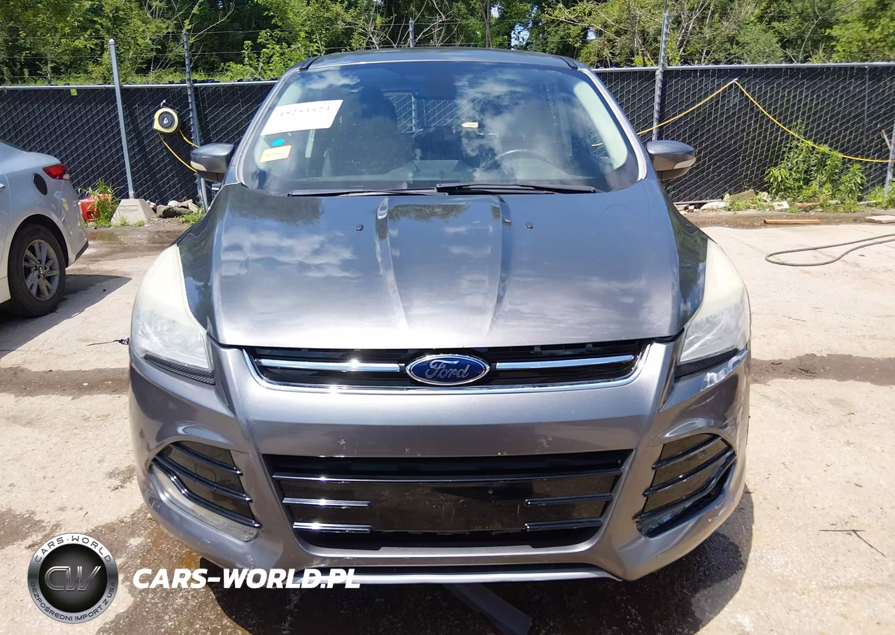 2013 Ford Escape Sel VIN:1FMCU0H92DUC47390 - 12