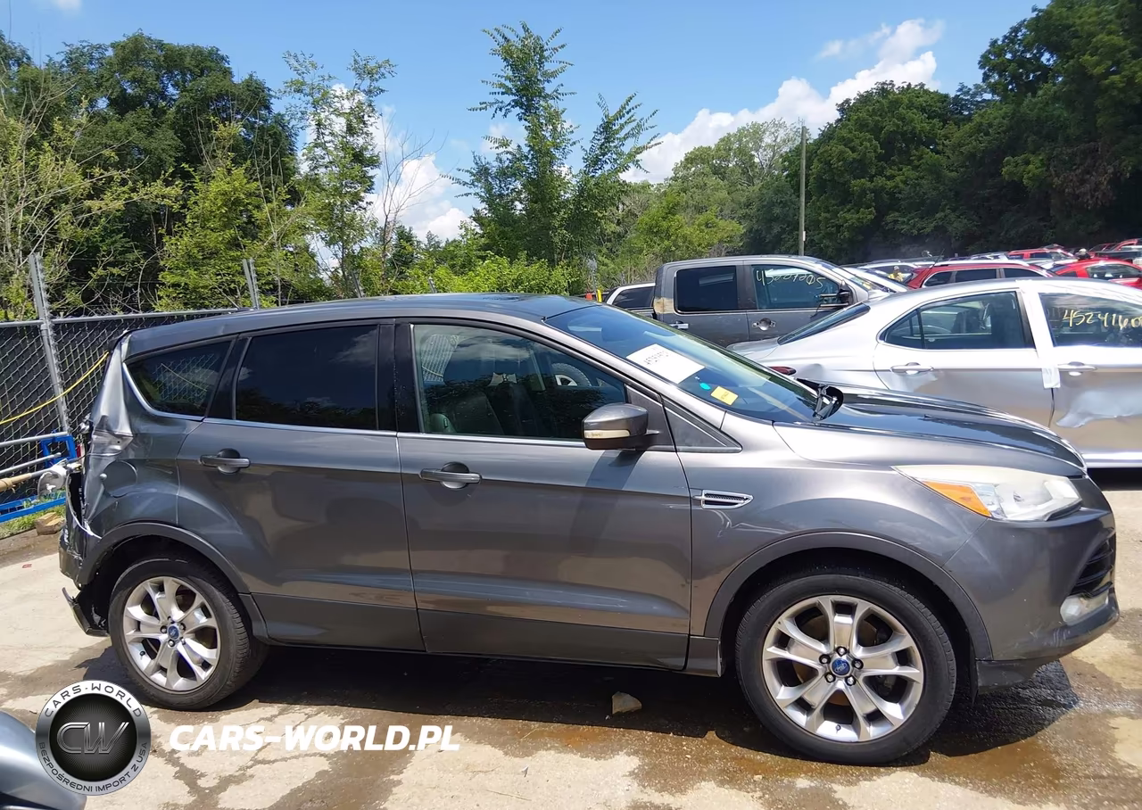 2013 Ford Escape Sel VIN:1FMCU0H92DUC47390 - 13