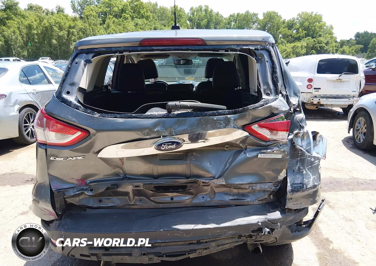 2013 Ford Escape Sel VIN:1FMCU0H92DUC47390 - 16