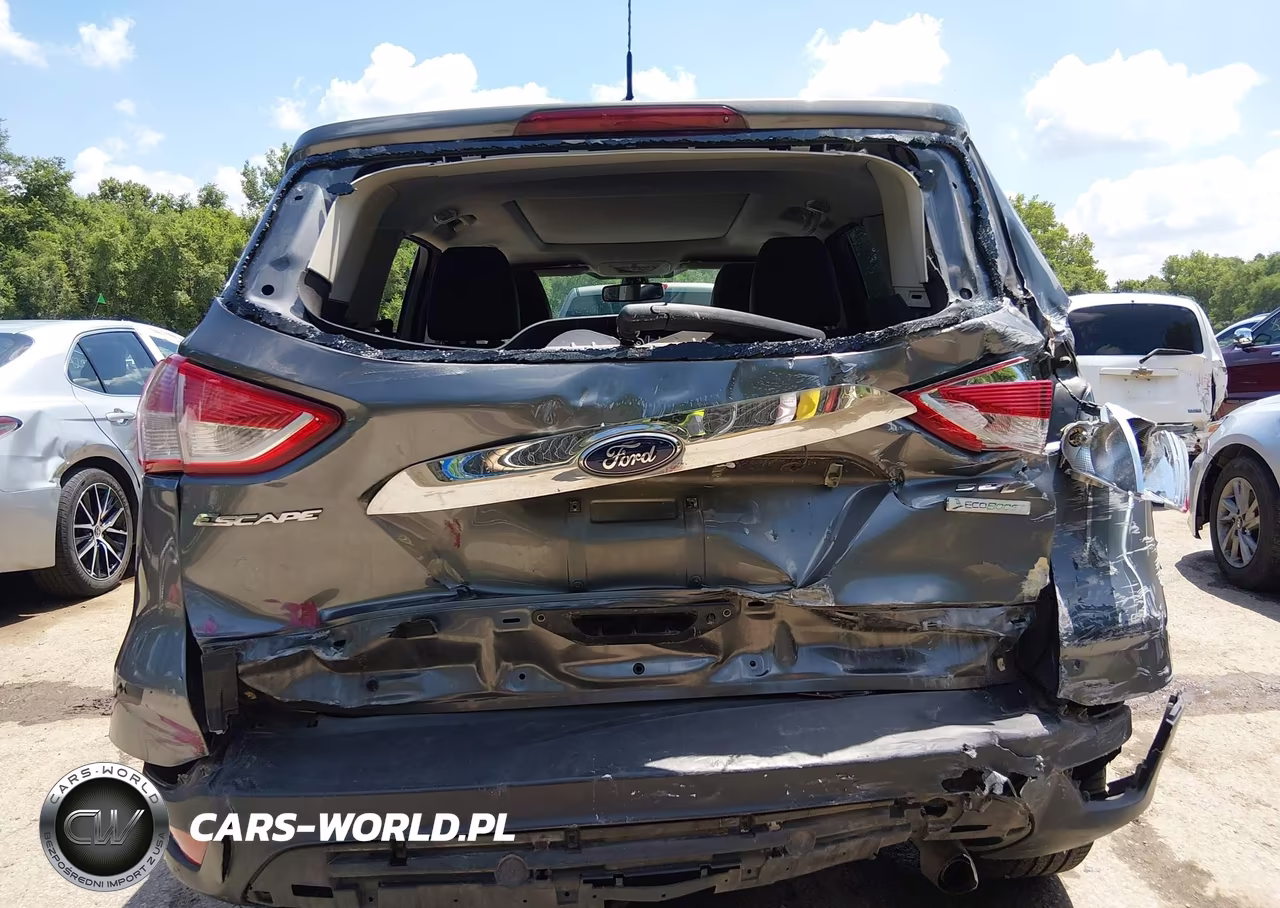 2013 Ford Escape Sel VIN:1FMCU0H92DUC47390 - 17