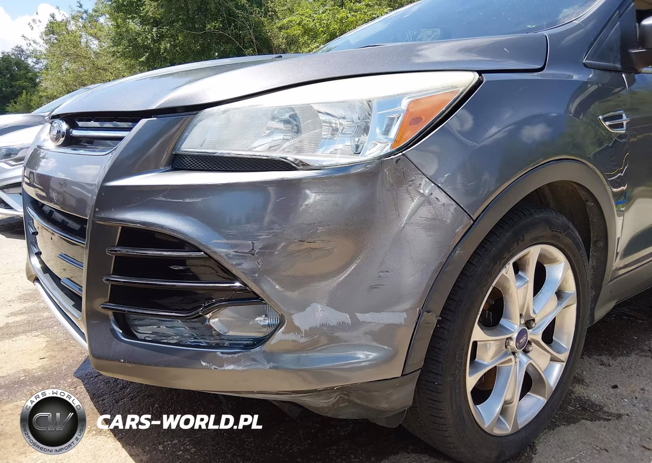 2013 Ford Escape Sel VIN:1FMCU0H92DUC47390 - 18
