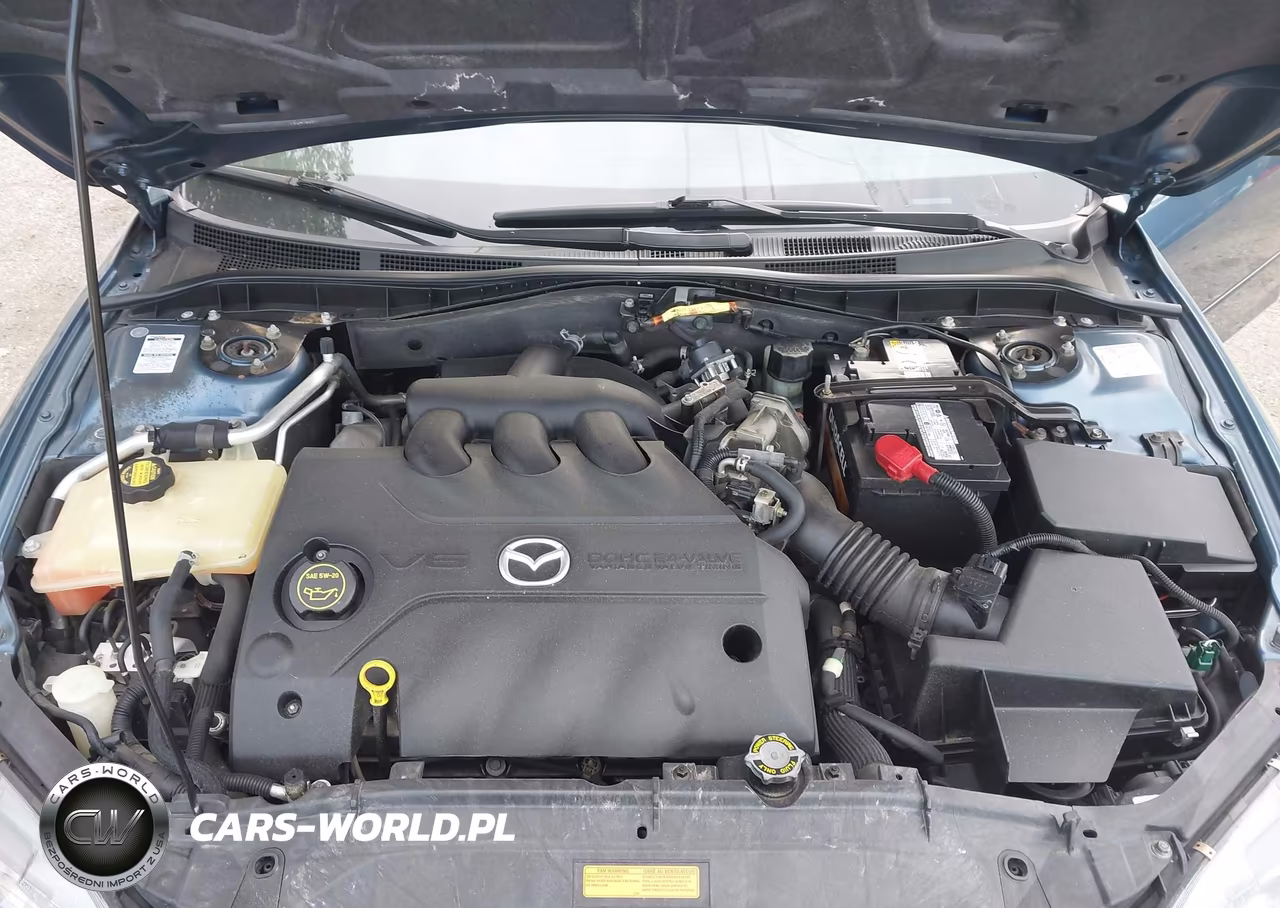 2004 Mazda Mazda6 S VIN:1YVHP82D845N73549 - 10