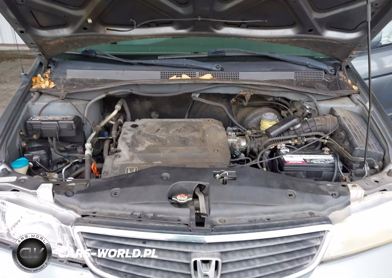 2001 Honda Odyssey Ex VIN:2HKRL18651H623194 - 10