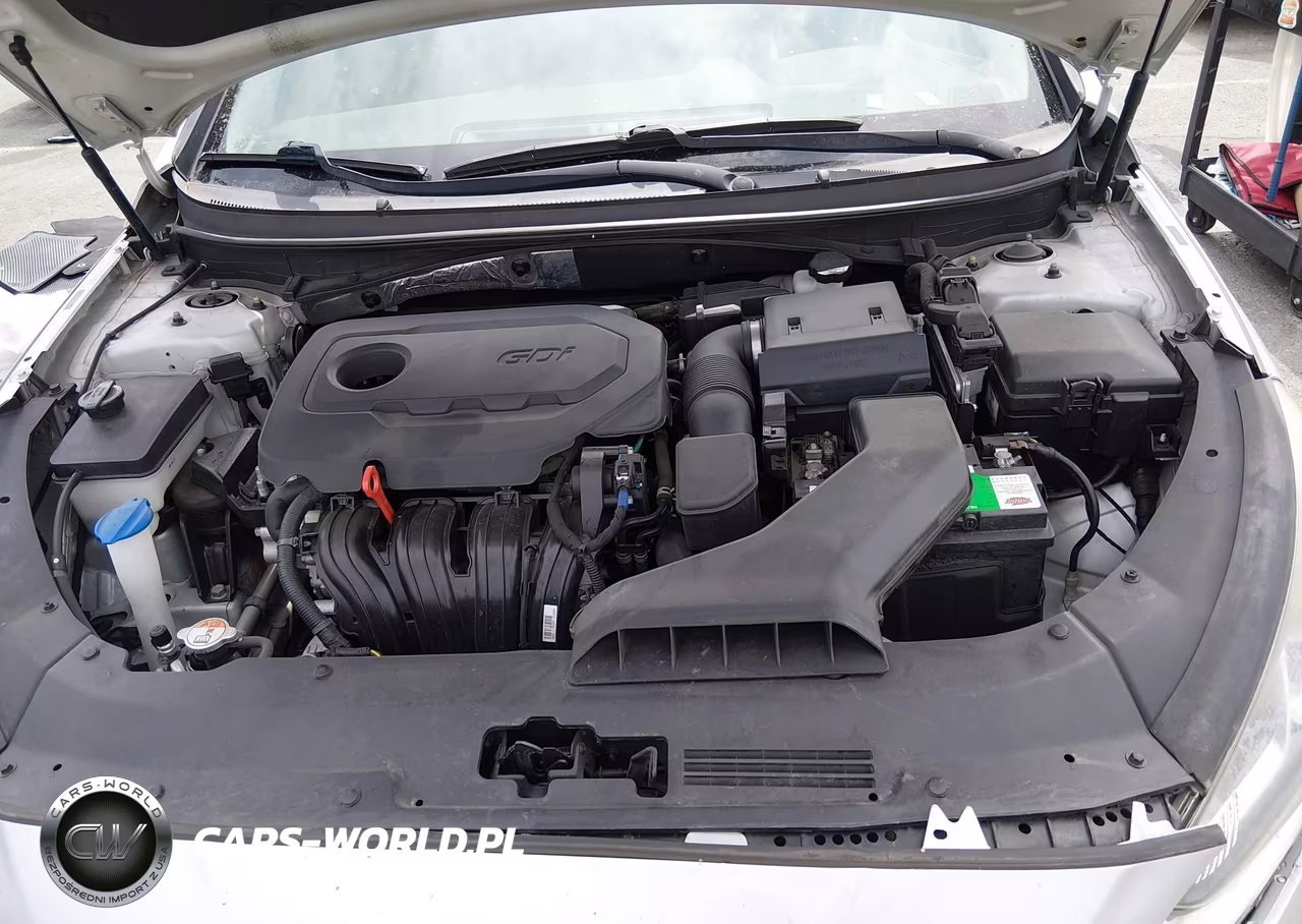 2018 Hyundai Sonata Se VIN:5NPE24AF0JH689844 - 10
