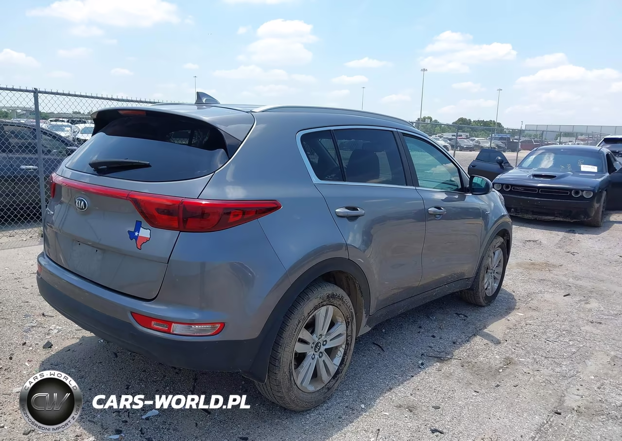 2017 Kia Sportage Lx VIN:KNDPMCAC3H7171356 - 4