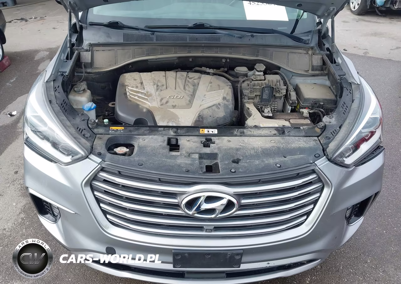 2017 Hyundai Santa Fe Limited Ultimate VIN:KM8SRDHF7HU234702 - 10