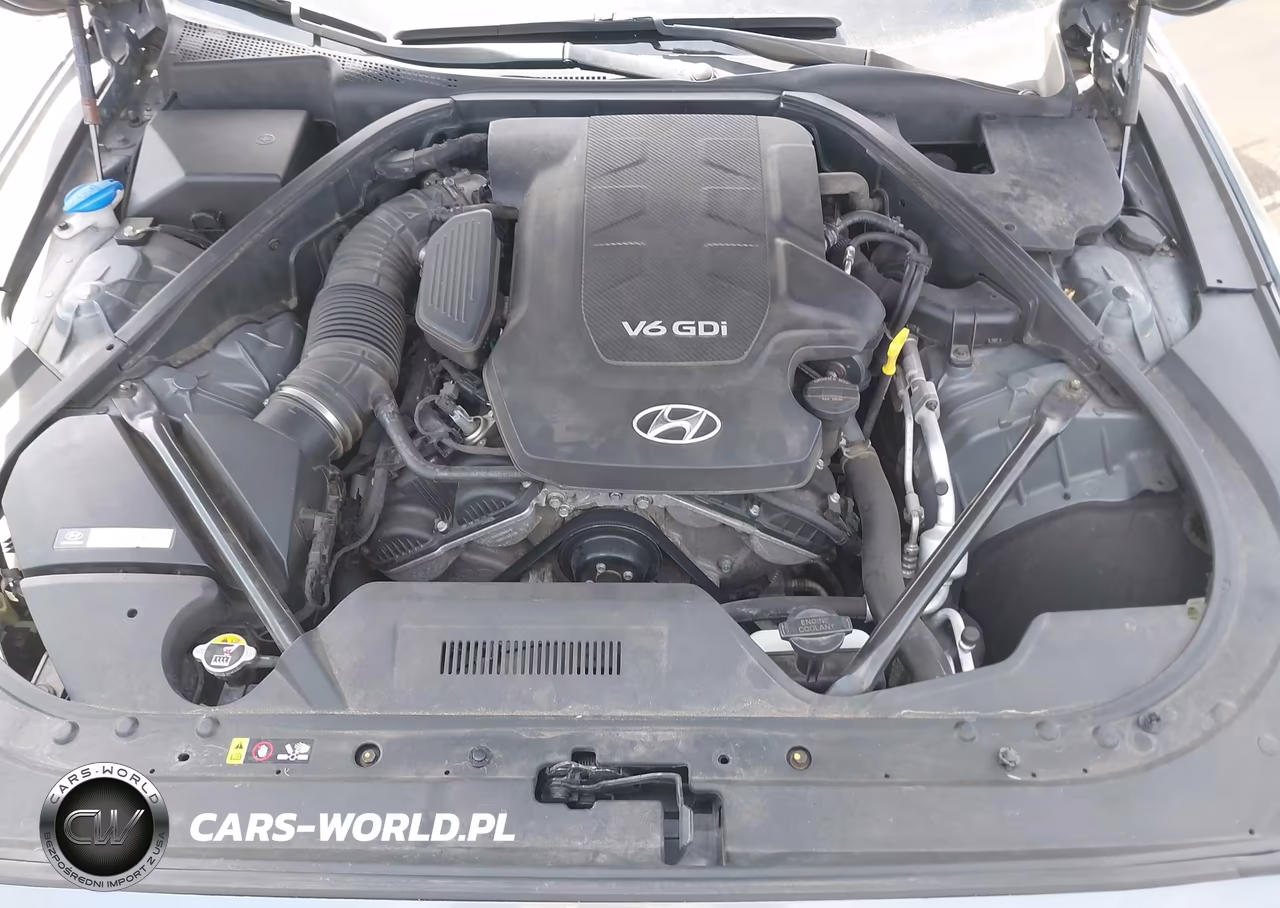 2015 Hyundai Genesis 3.8 VIN:KMHGN4JE8FU054838 - 10