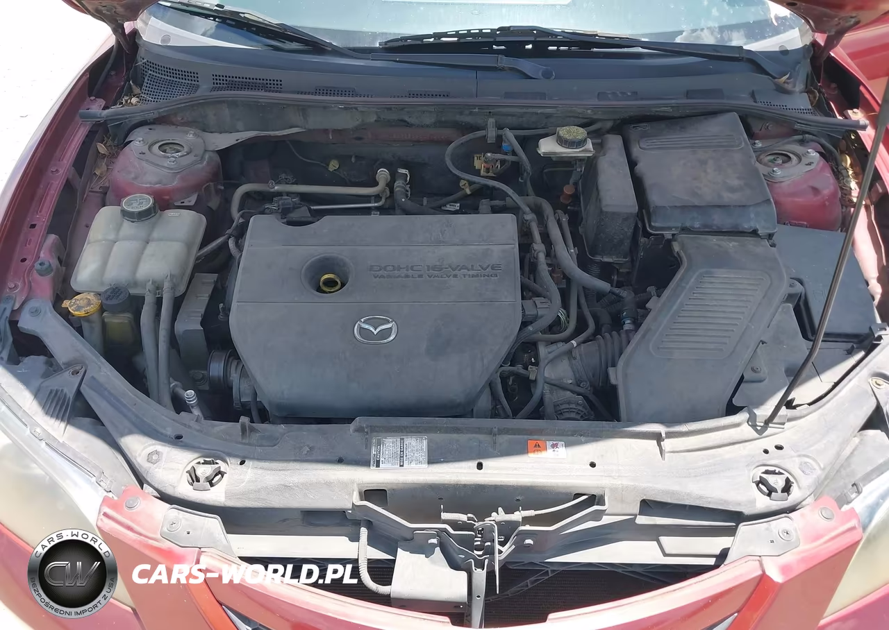 2009 Mazda Mazda3 I VIN:JM1BK32F291189294 - 10