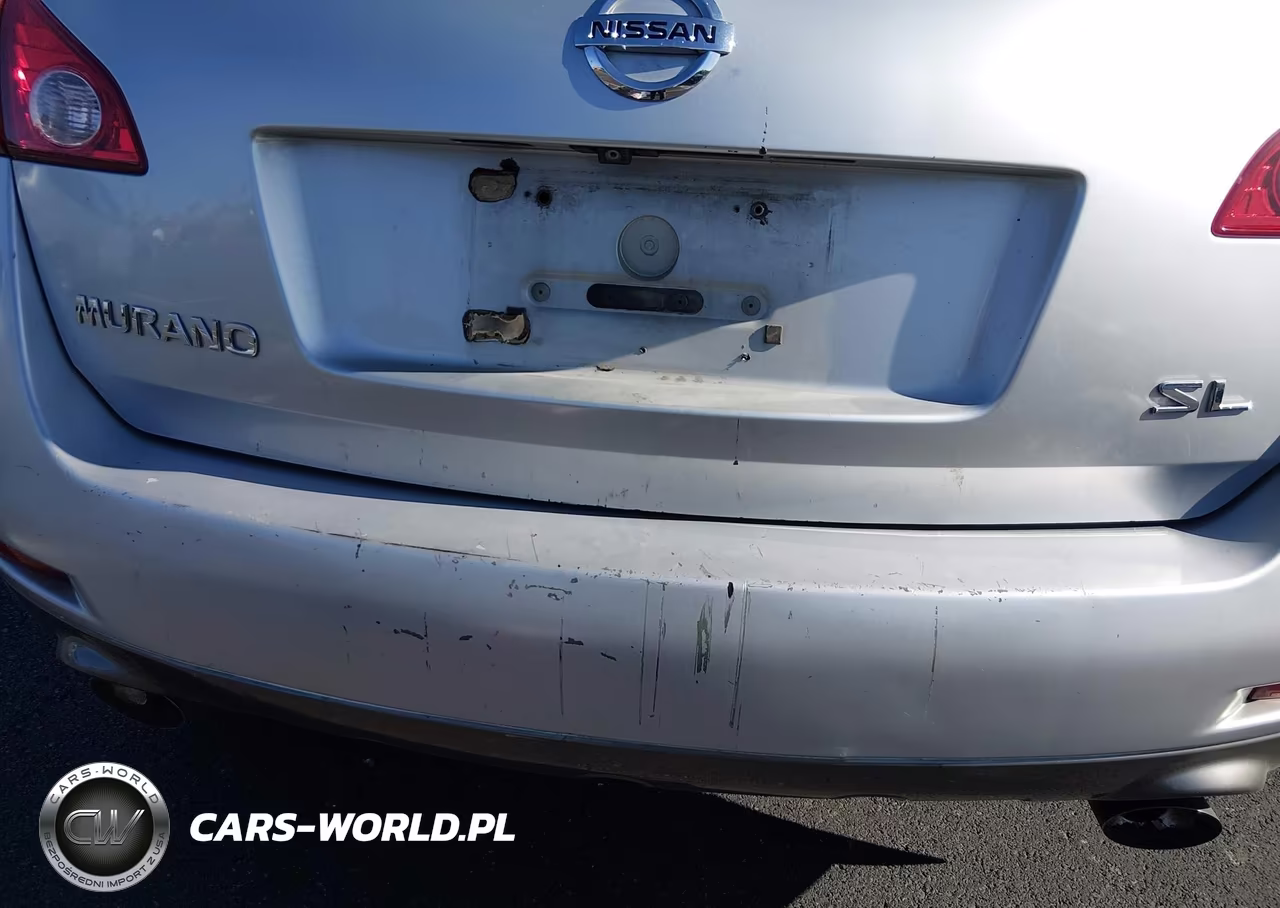 2009 Nissan Murano Sl VIN:JN8AZ18U29W100137 - 6