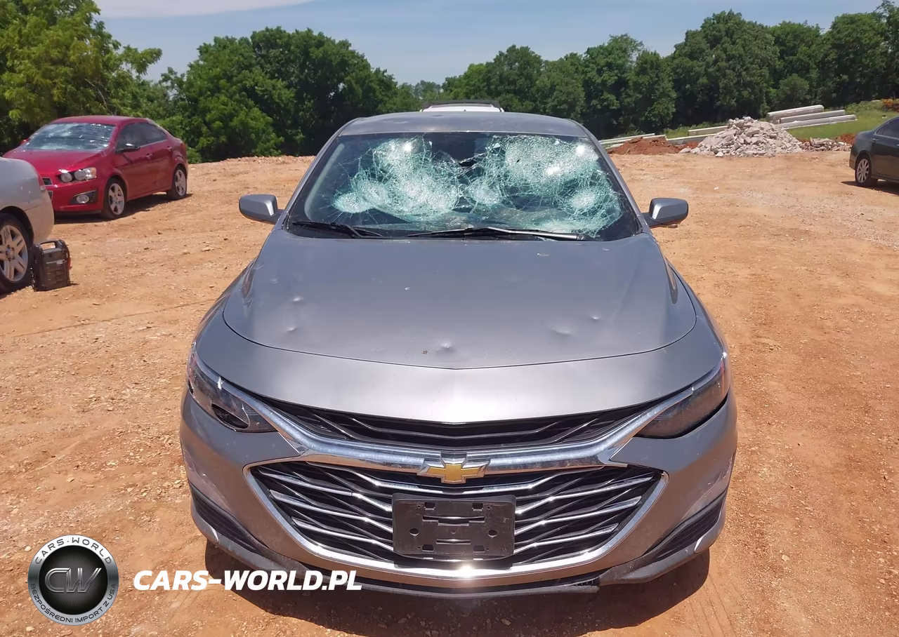 2023 Chevrolet Malibu Fwd 1Lt VIN:1G1ZD5ST9PF202450 - 12