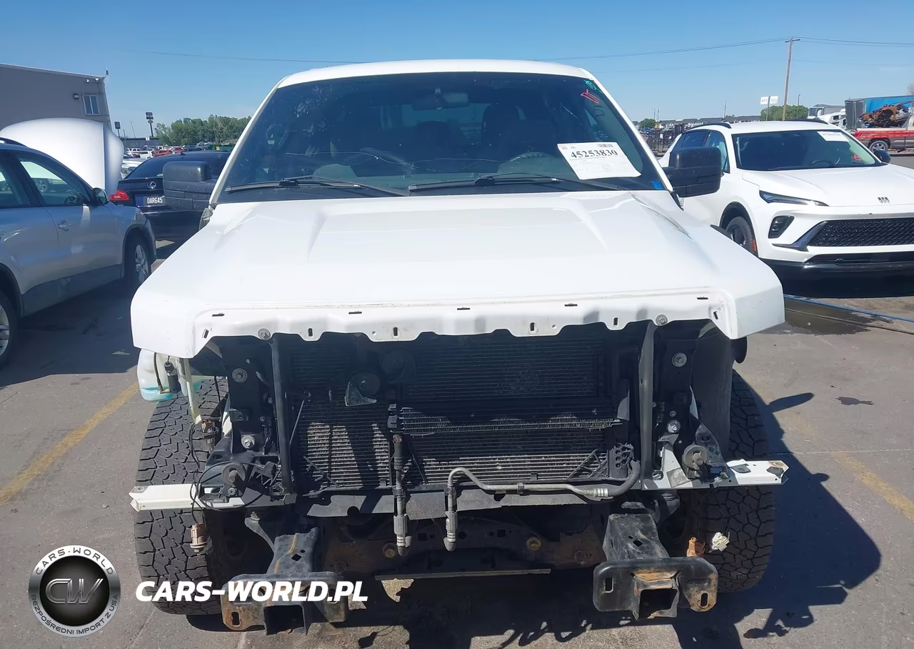 2012 Ford F-150 Xl VIN:1FTFW1EF9CKD70349 - 12