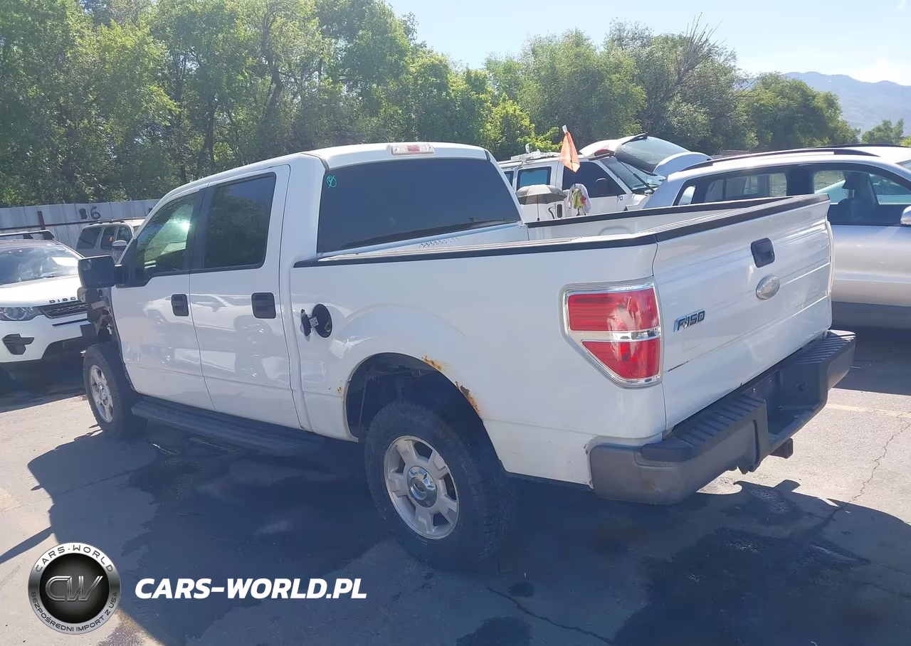 2012 Ford F-150 Xl VIN:1FTFW1EF9CKD70349 - 3