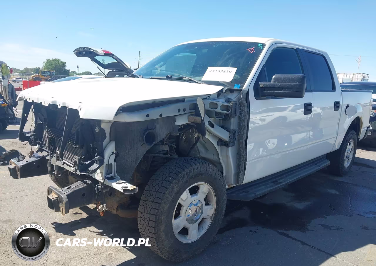 2012 Ford F-150 Xl VIN:1FTFW1EF9CKD70349 - 6