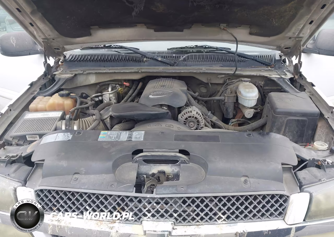 2003 Chevrolet Silverado 1500 Ls VIN:1GCEC19T03E167188 - 10